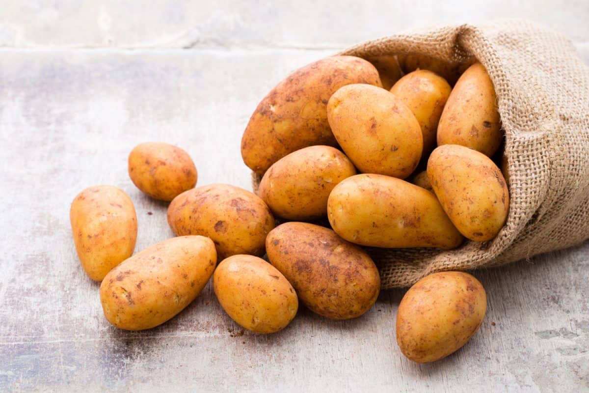 Pakistani Potatoes Dominating Global Markets